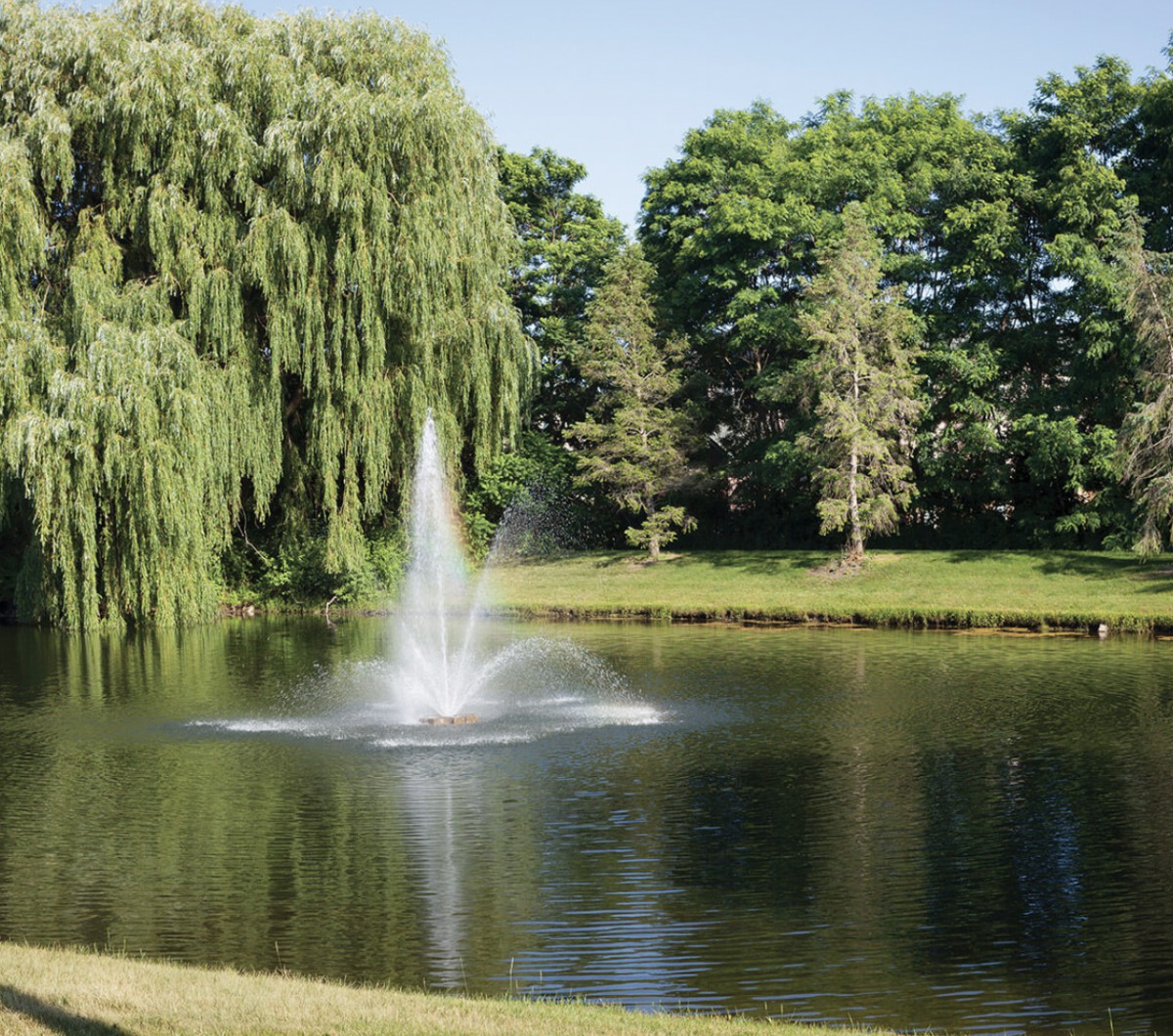 A serene pond with a fountain surrounded by lush greenery and trees.
