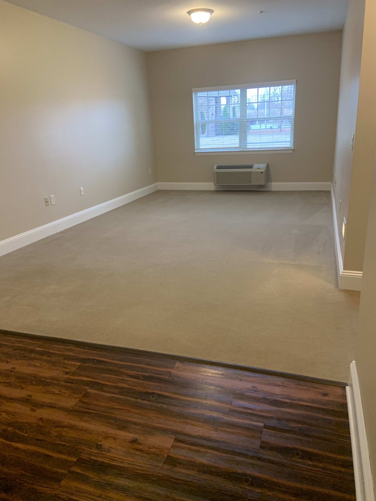 An empty living room with carpet and hardwood flooring, featuring a window and baseboard heating.