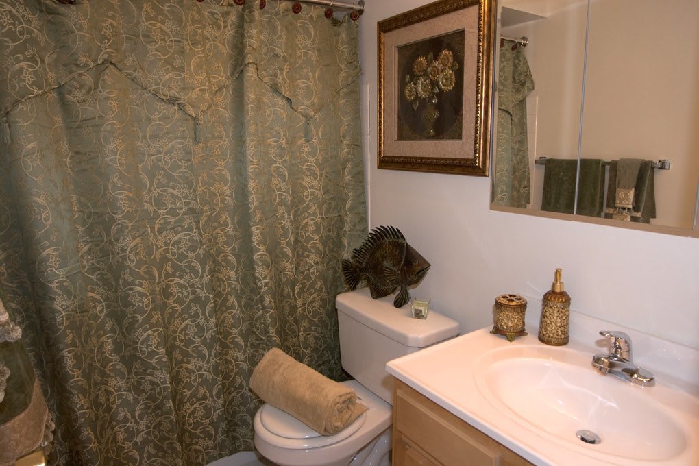 A cat sitting on the toilet tank in a decorated bathroom.