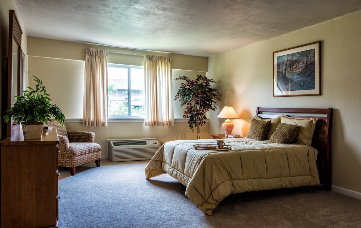 A cozy bedroom with a large bed, warm lighting, and a window letting in natural light.