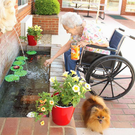An elderly woman in a wheelchair enjoys the serene garden with blooming flowers and a playful dog nearby.