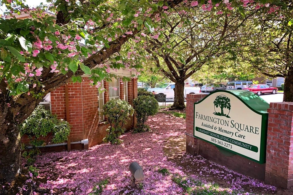 A charming garden in full bloom with a pathway covered in pink petals, leading to a brick building on a sunny spring day.