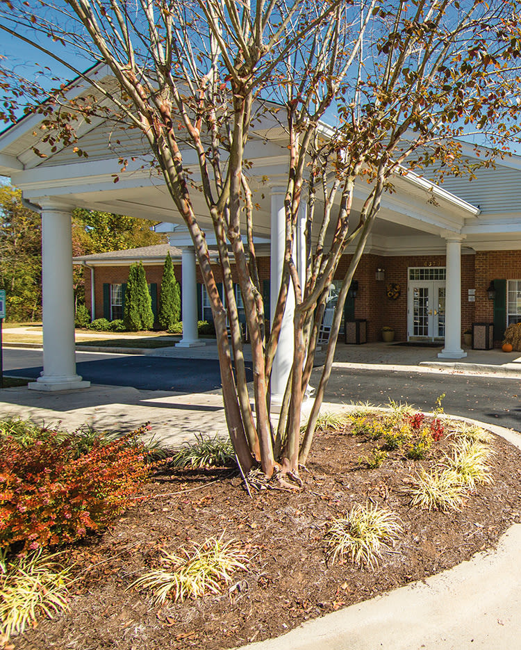 A well-maintained building entrance with surrounding trees and shrubs.