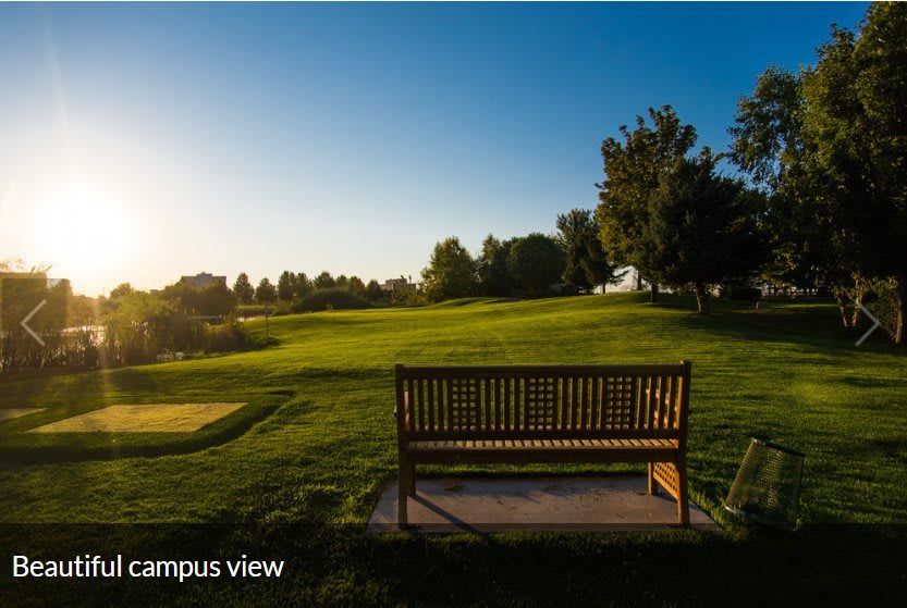 A serene park view at sunset with a wooden bench and lush green surroundings.