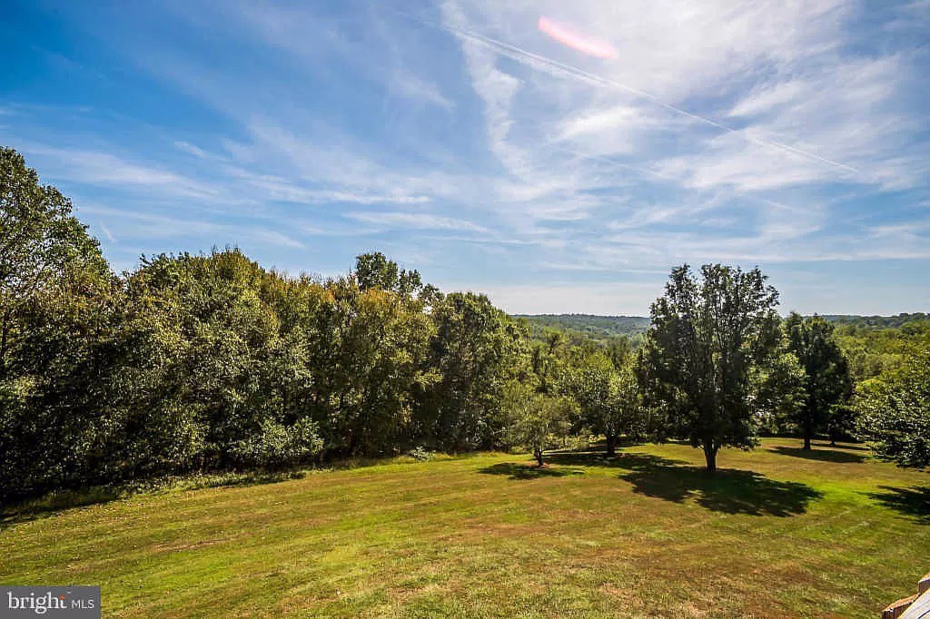 A serene landscape with lush green grass and trees under a clear blue sky.