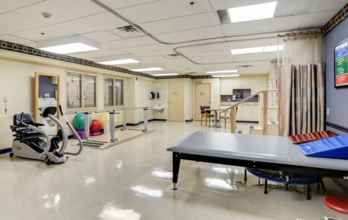 A spacious physical therapy room equipped with exercise balls and parallel bars for rehabilitation exercises.