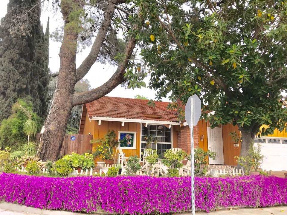 Charming house surrounded by vibrant purple flowers and lush trees.