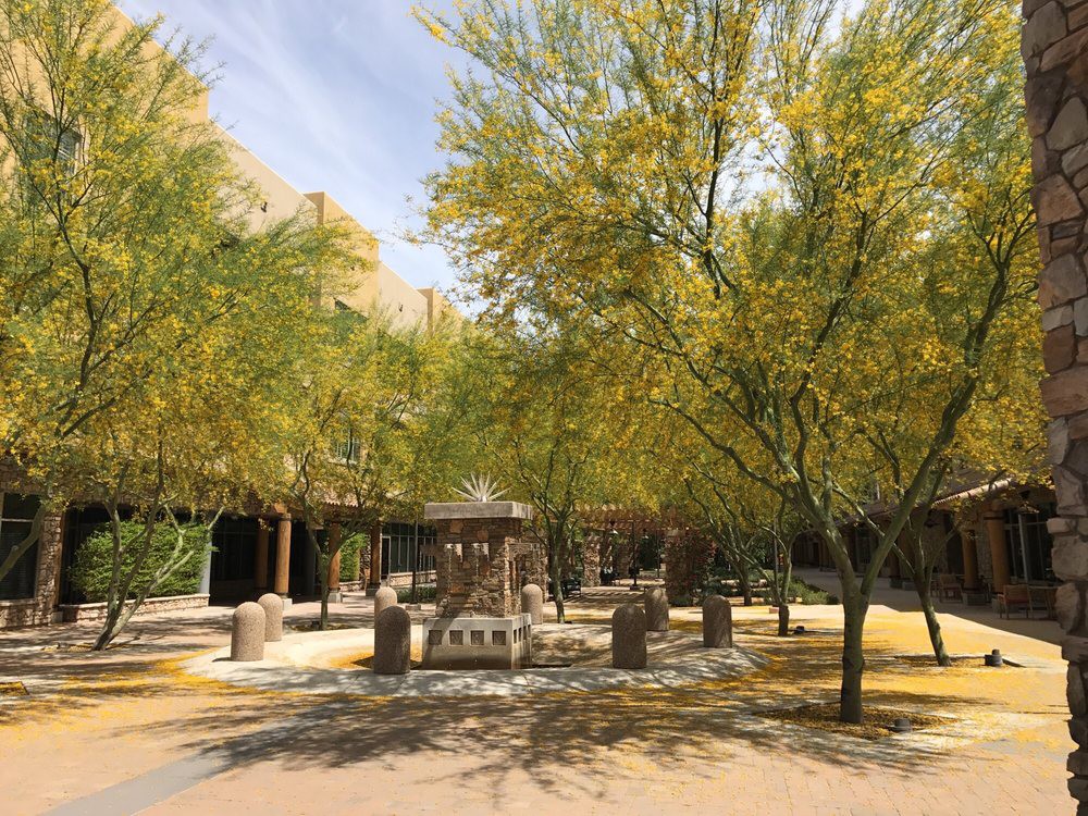 A peaceful park scene with trees and a central gazebo.