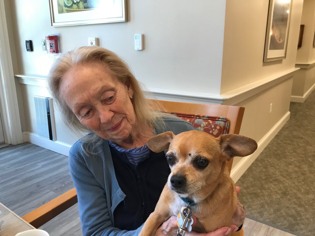 A senior woman sitting indoors, holding a small dog and smiling.