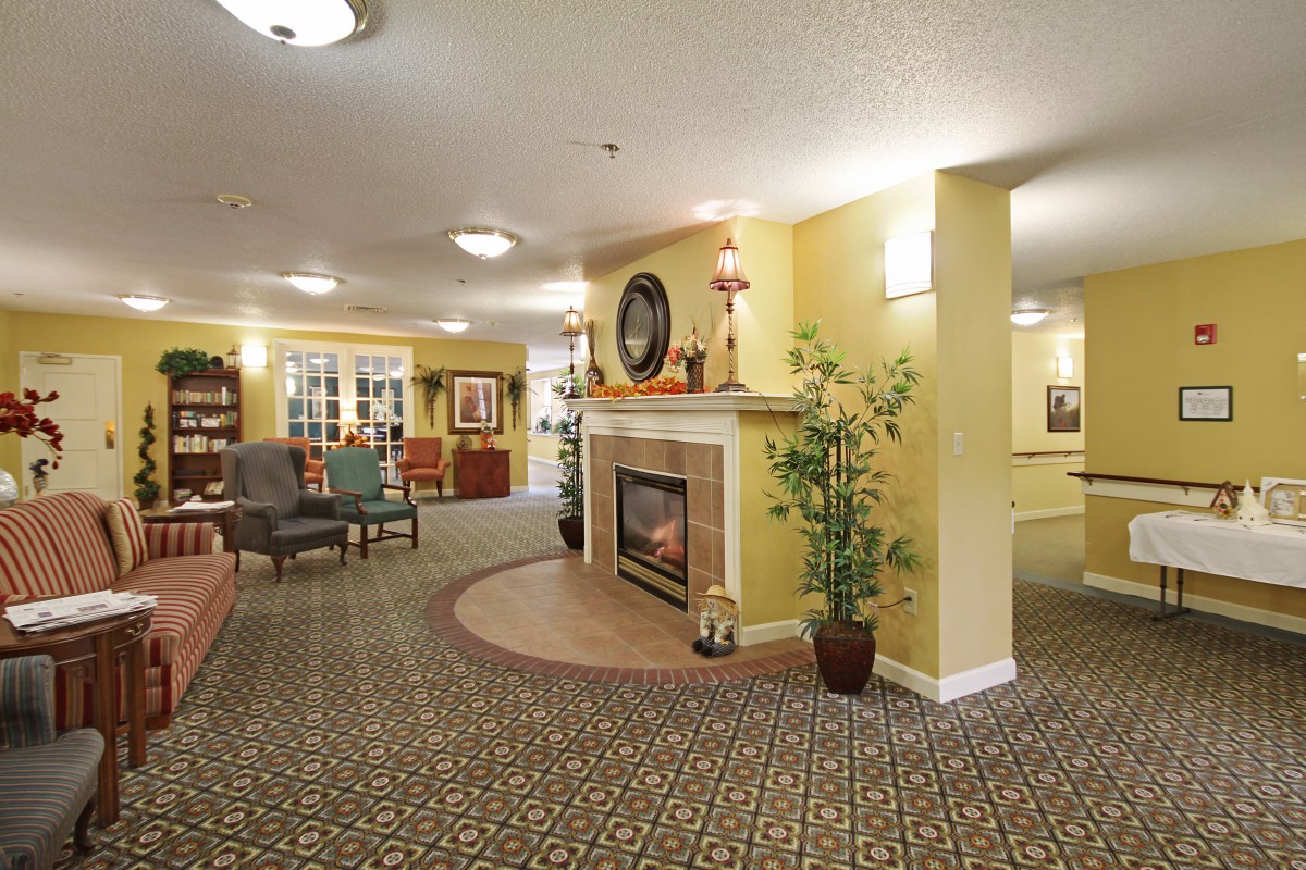 A cozy living room with a fireplace and elegant decor.