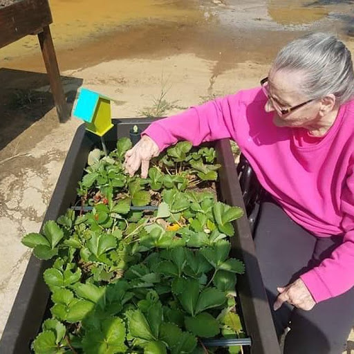 An elderly woman tends to her thriving vegetable garden, enjoying the beauty of nature.