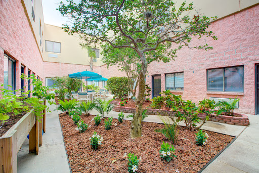 A serene garden space featuring a tree and various plants, perfect for relaxation.
