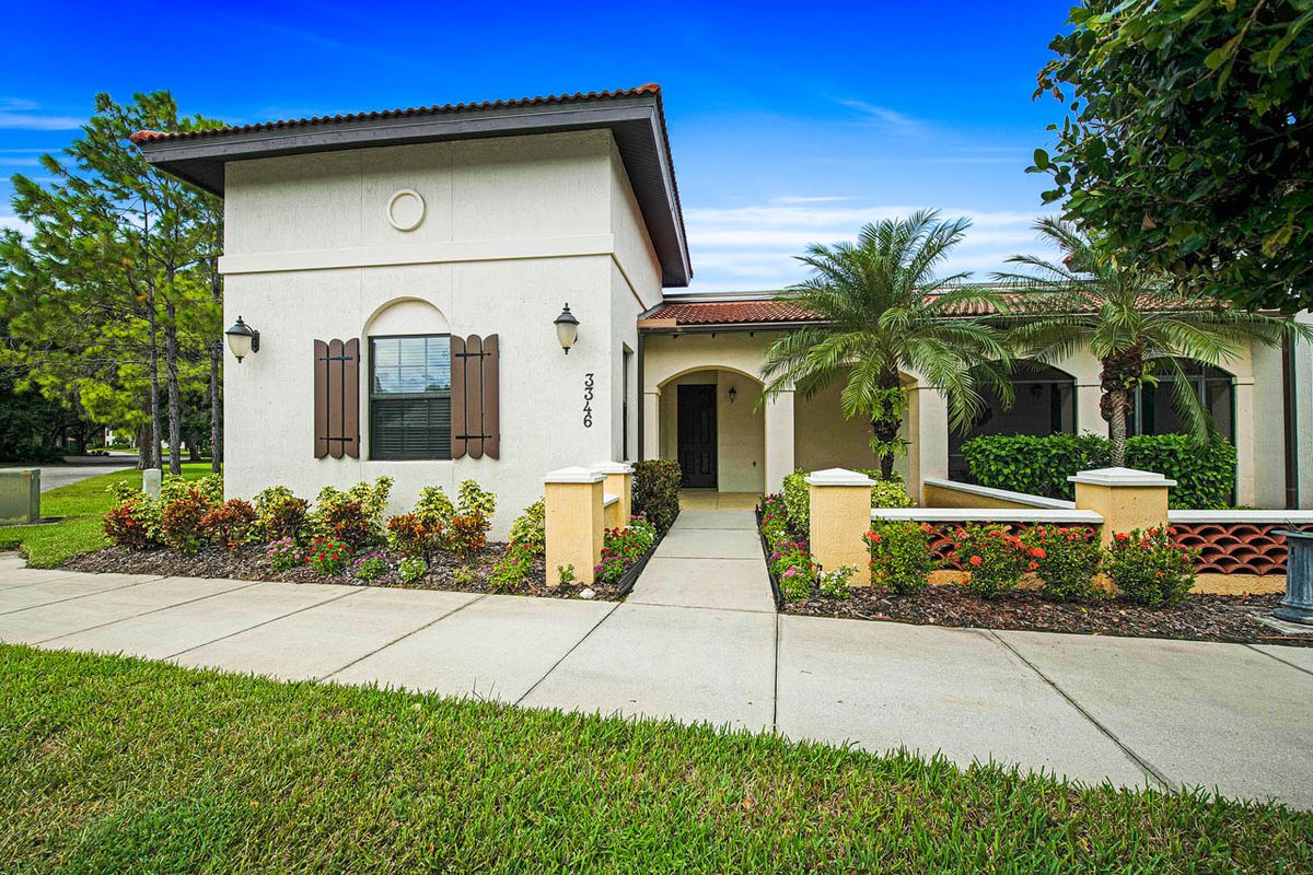 A modern residential house with well-maintained landscaping, featuring a palm tree and a clean sidewalk.