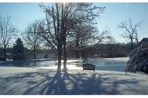 A tranquil winter scene with snow-covered ground, bare trees, a bench, and a frozen lake under the sunlight.