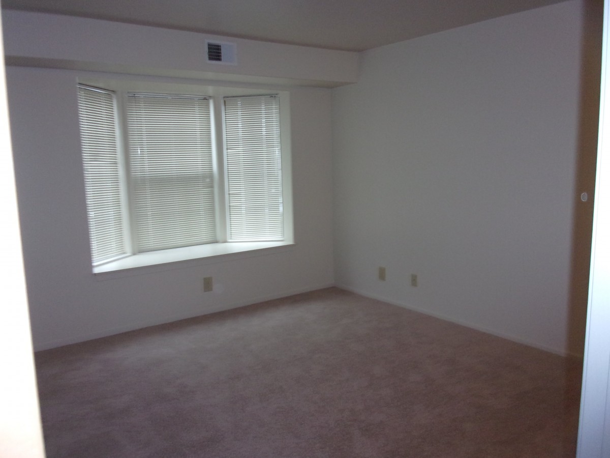 An empty room with white walls, a large window, and a carpeted floor.