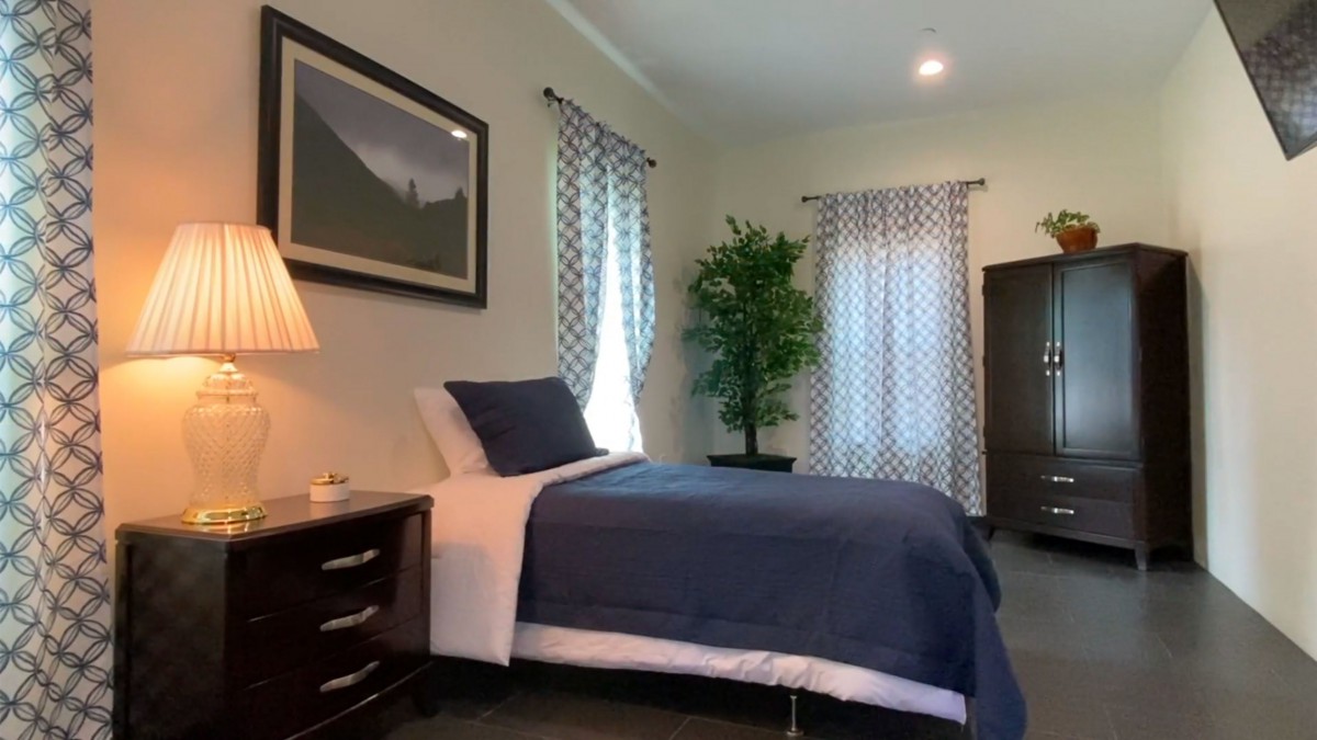 A cozy bedroom with a neatly made bed, modern decor, and a large potted plant by the window.