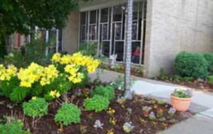 A garden with vibrant yellow flowers in front of a building with large windows.