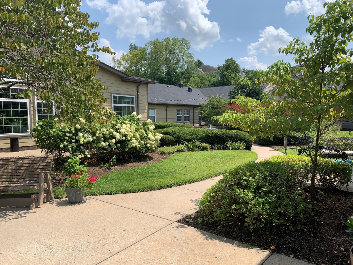 A peaceful garden path lined with lush greenery and flowering bushes under a partly cloudy sky.