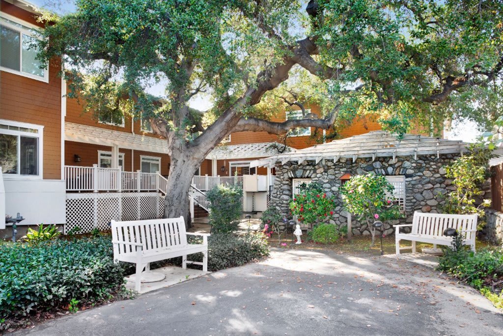 A peaceful courtyard with white benches and a large tree providing shade.