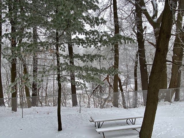 A snowy forest scene with a picnic bench among the trees.