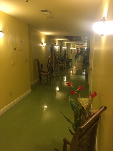 A brightly lit hallway featuring yellow walls, green flooring, and decorative plants.