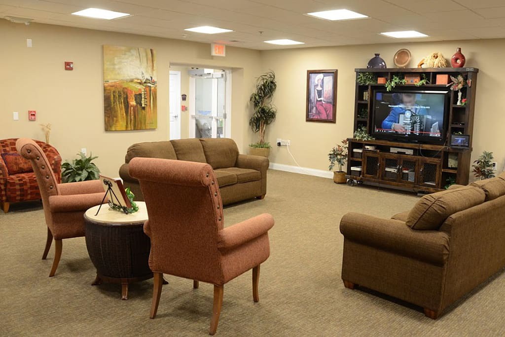 A cozy living room with sofas, a television, and decorative artwork.