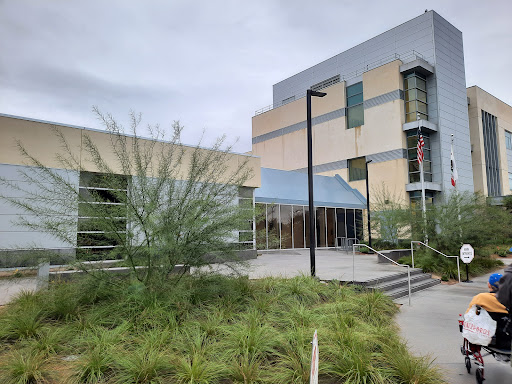 A modern building with greenery in the foreground, showcasing contemporary architectural design.