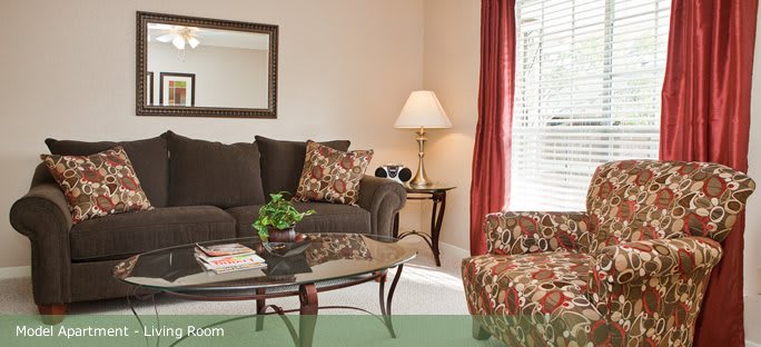 A cozy living room with a sofa, patterned cushions, and a glass coffee table beside a lamp.