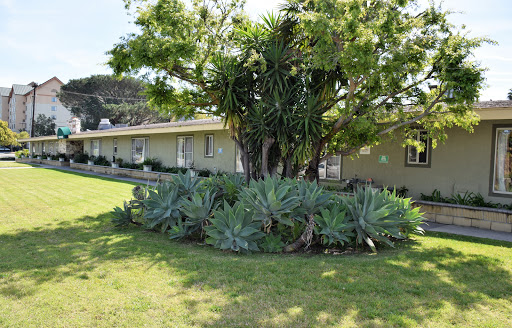 A serene garden scene featuring a variety of plants and a house in the background.