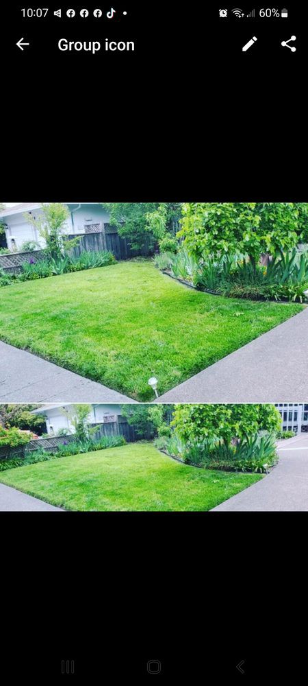 A well-manicured lawn with a surrounding garden in a backyard setting.