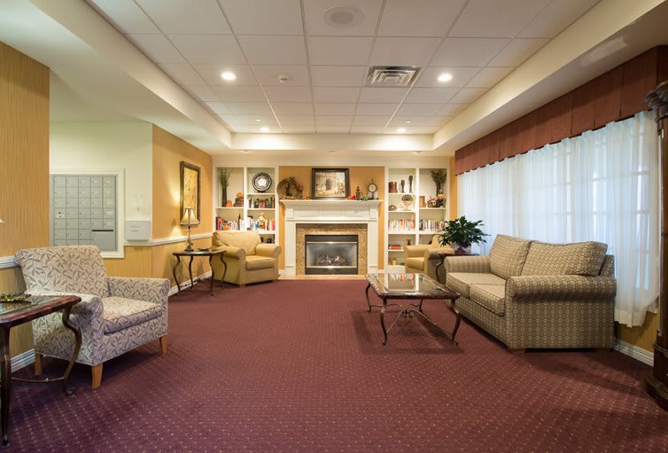 A cozy and elegantly furnished living room with a fireplace, sofas, and large windows.