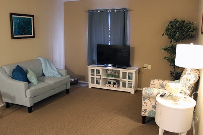 A cozy living room with a TV, sofa, and stylish decor.