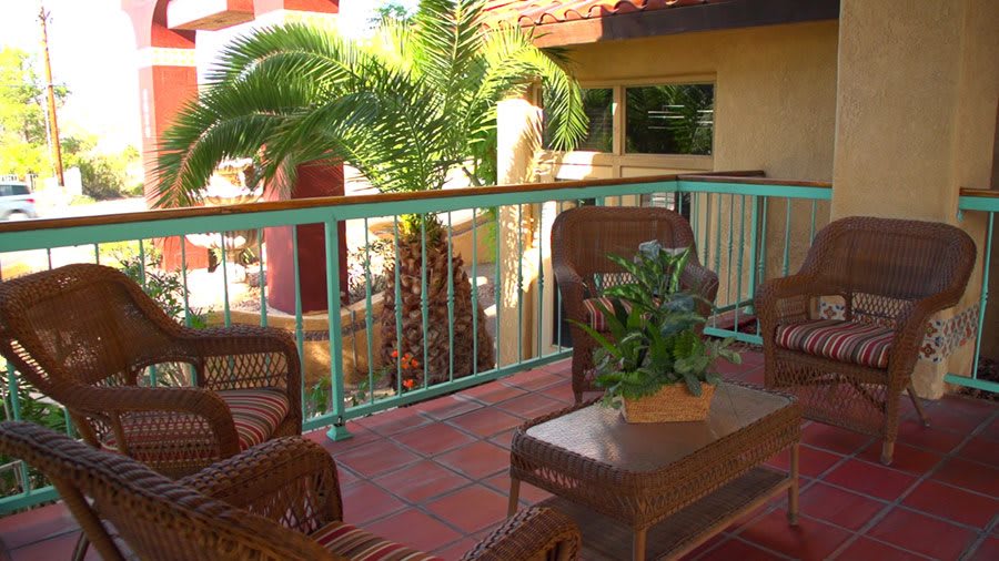A cozy outdoor patio featuring wicker furniture and lush tropical plants.