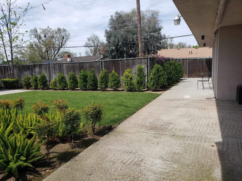 A well-maintained backyard with a lawn, shrubs, and a concrete patio.