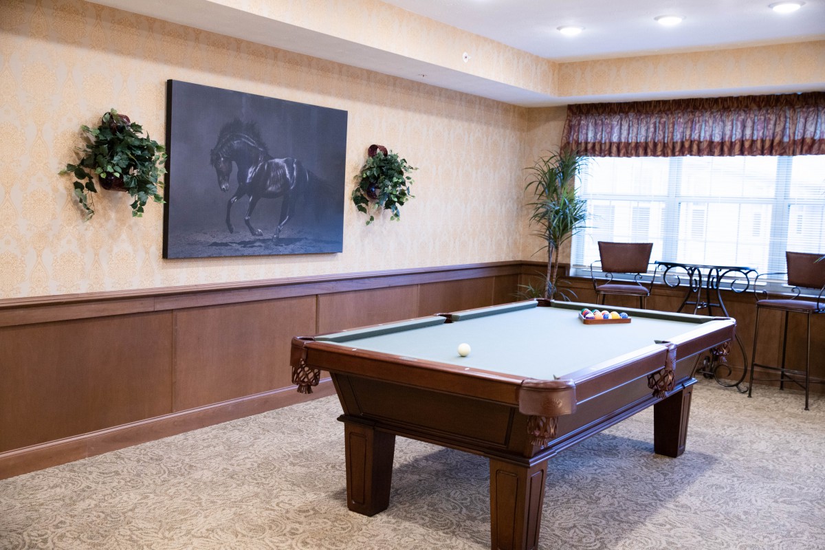 A stylish billiard room featuring a pool table, wood paneling, and artwork on the wall.