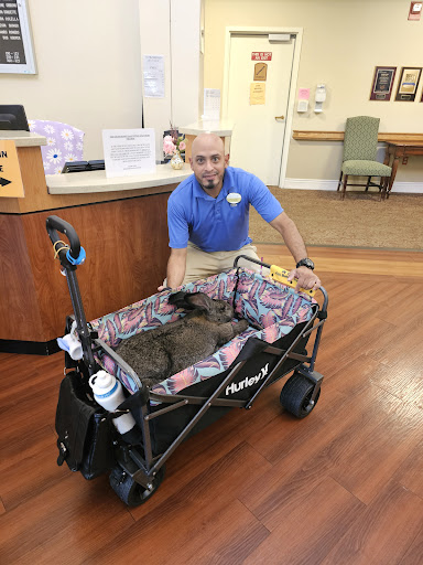 A man prepares a pet stroller in a welcoming lobby, ready to transport an animal.