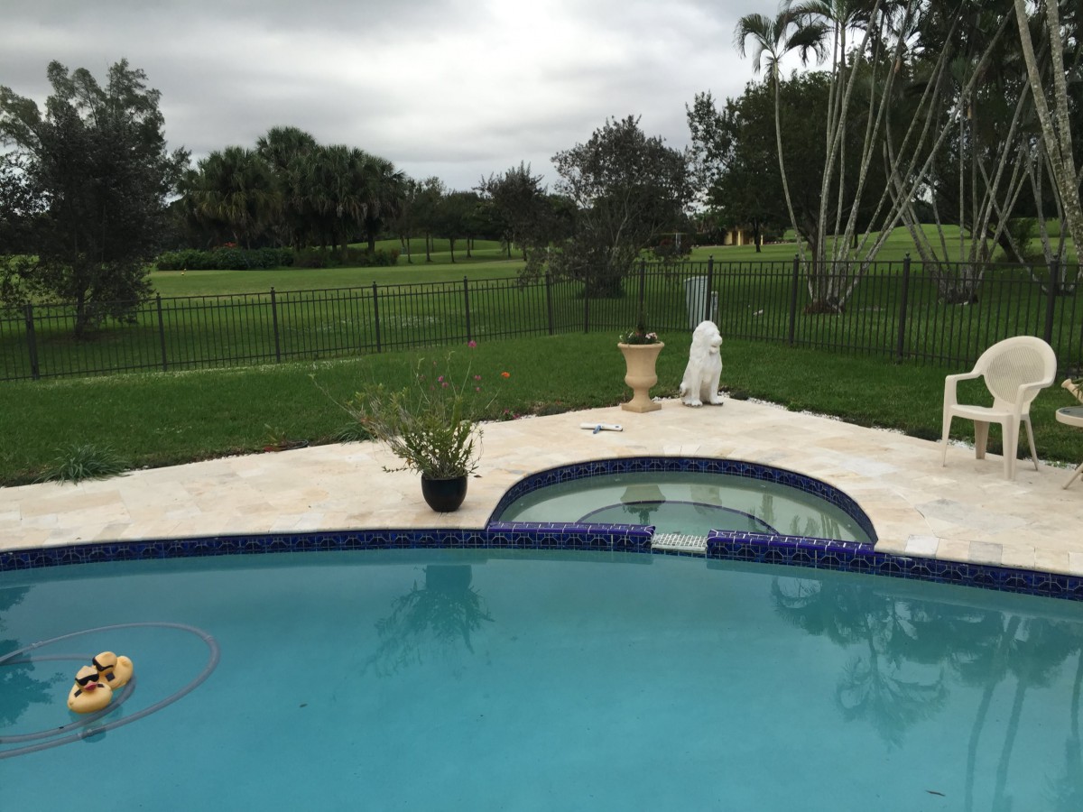 A backyard view with a swimming pool and lush greenery.