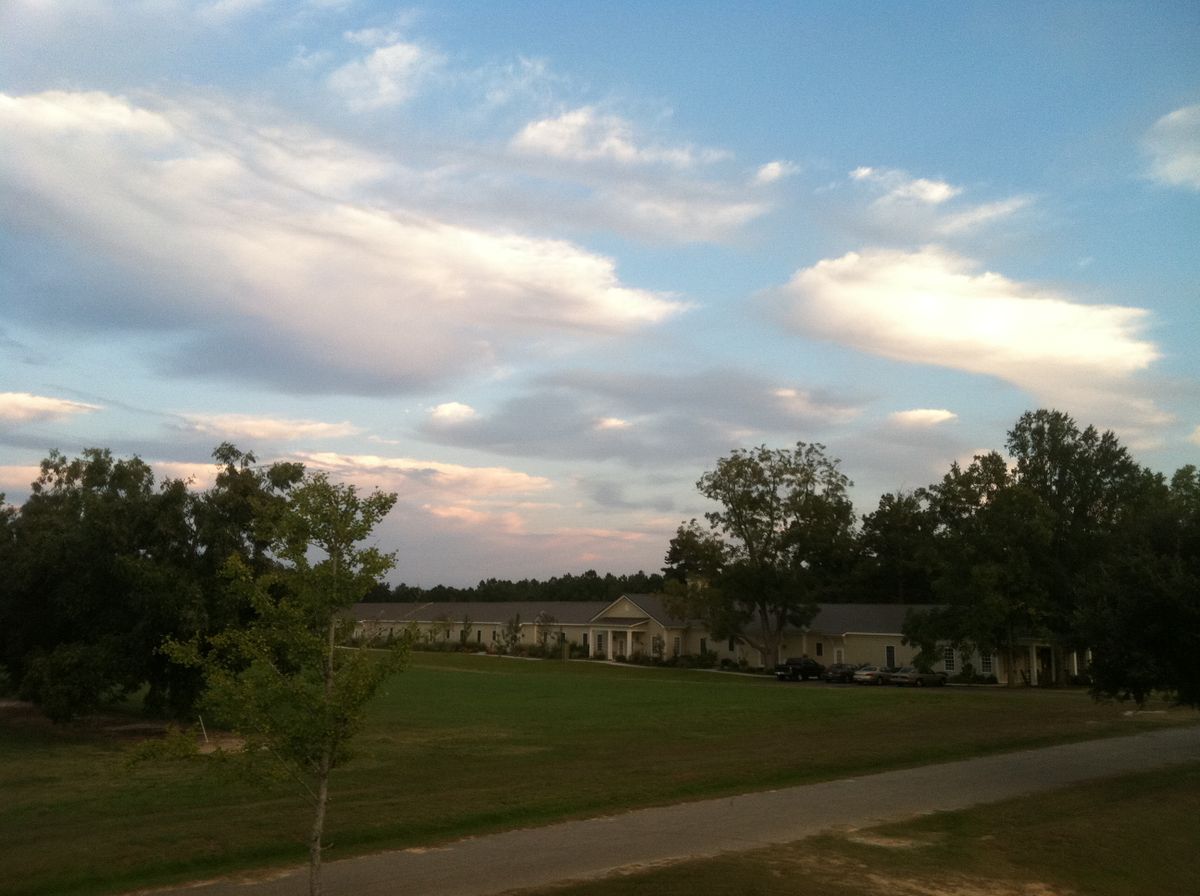 A serene landscape with clouds scattered across the evening sky above a grassy field and trees.