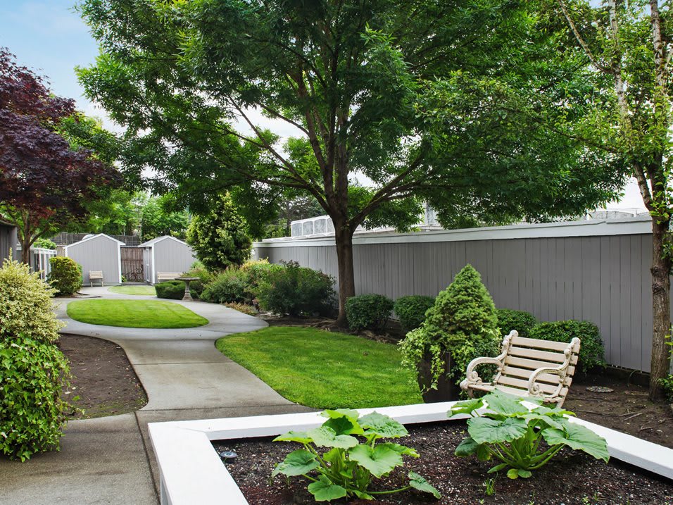 A serene garden scene with a bench, lush grass, and trees lining the pathway.
