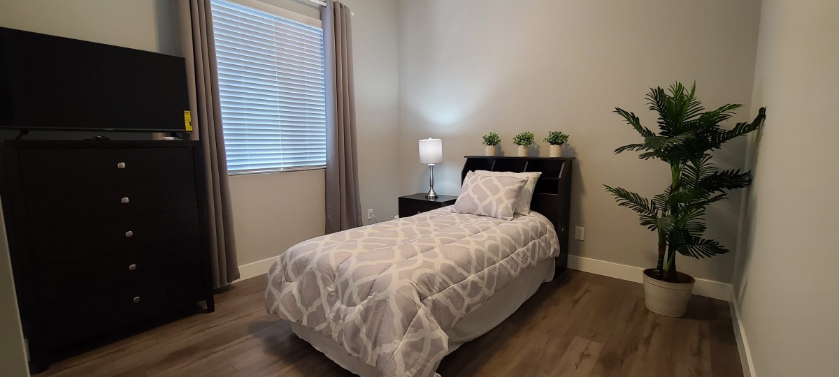 A minimalist bedroom with a single bed, nightstand, and decorative plants.