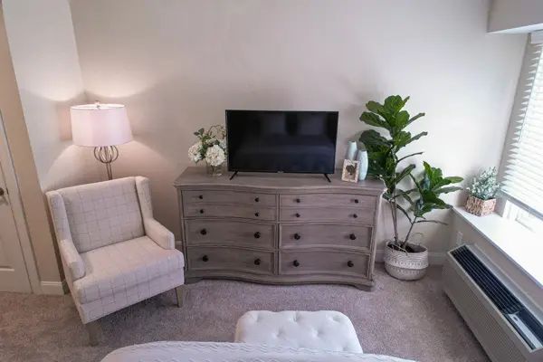A cozy living room setup featuring a dresser with a TV, an armchair, and indoor plants.
