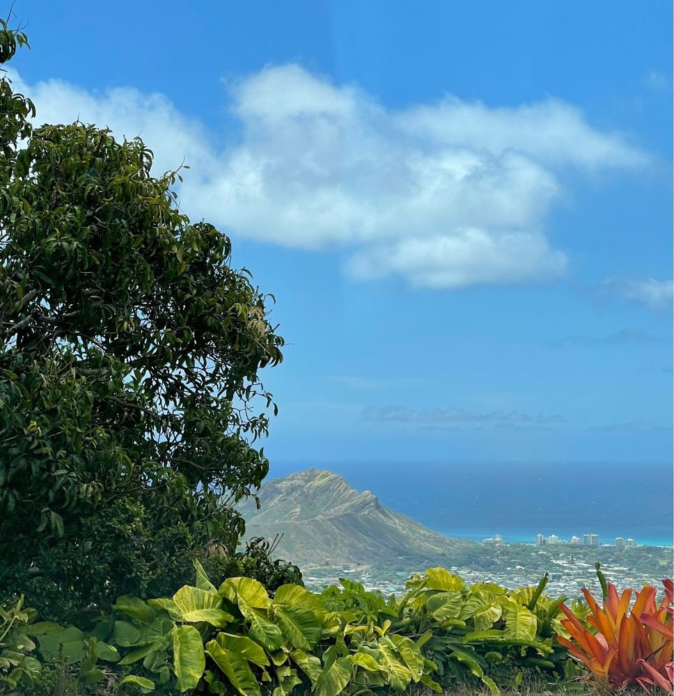 A scenic view of the ocean and mountains framed by lush greenery and a clear blue sky.
