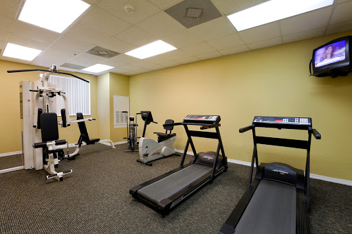 A well-lit fitness area featuring several treadmills and exercise machines.