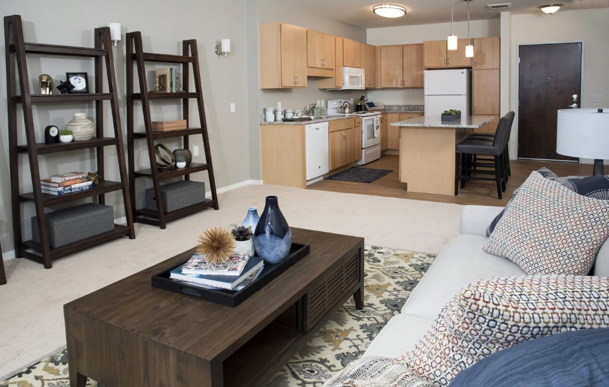 A modern open-plan apartment with a cozy living room and kitchen space.