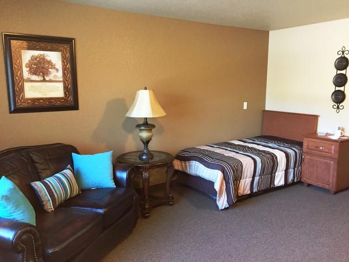 A cozy bedroom with a single bed, sofa, and decorative lamp.