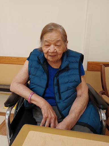An elderly woman in a wheelchair wearing a blue vest, sitting comfortably indoors.