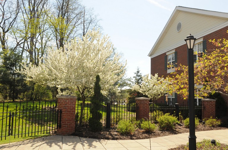 A brick building stands adjacent to a blooming garden with white flowering trees and a black iron fence under a clear spring sky.