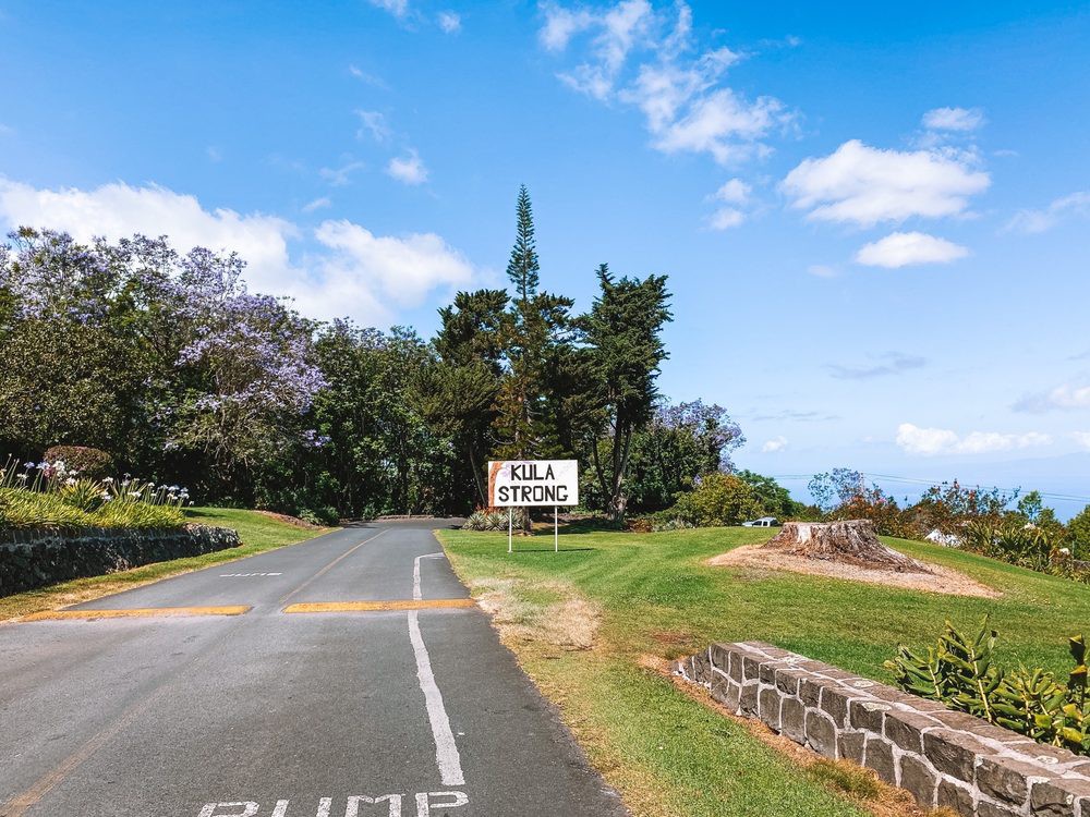 A scenic road with a caution sign surrounded by lush greenery and trees under a bright blue sky.
