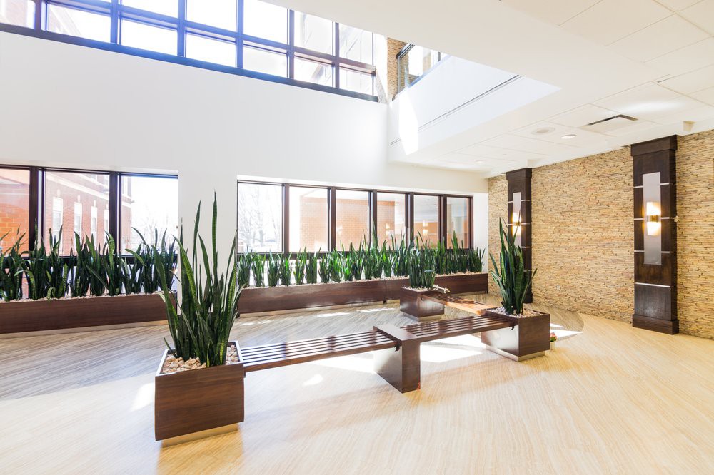 A modern office lobby with abundant natural light and minimalist design, featuring a seating area surrounded by tall green plants.