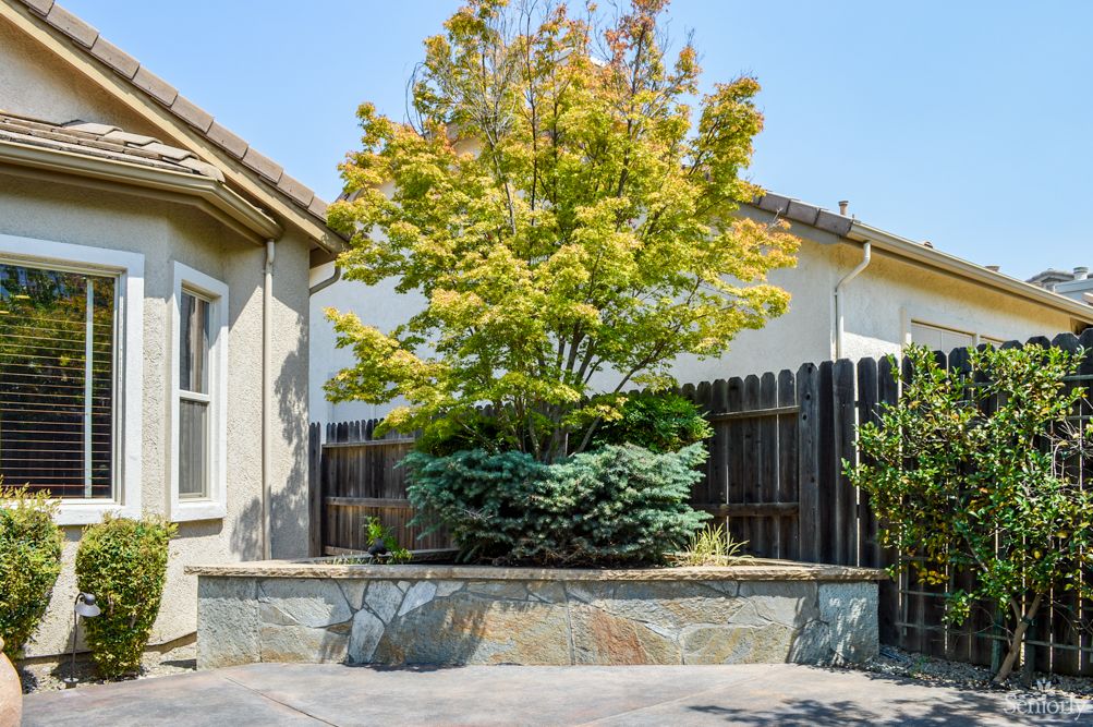 A well-maintained garden area featuring a tree and greenery in front of a house.